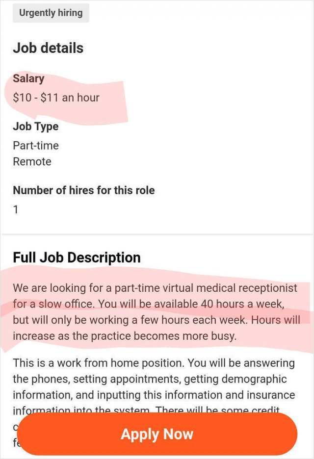 Job Expectations Fails (29 pics)