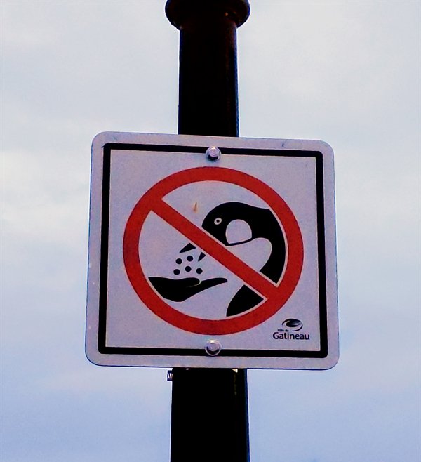Only In Canada (22 pics)