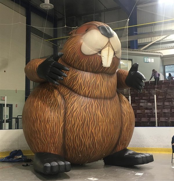 Only In Canada (22 pics)