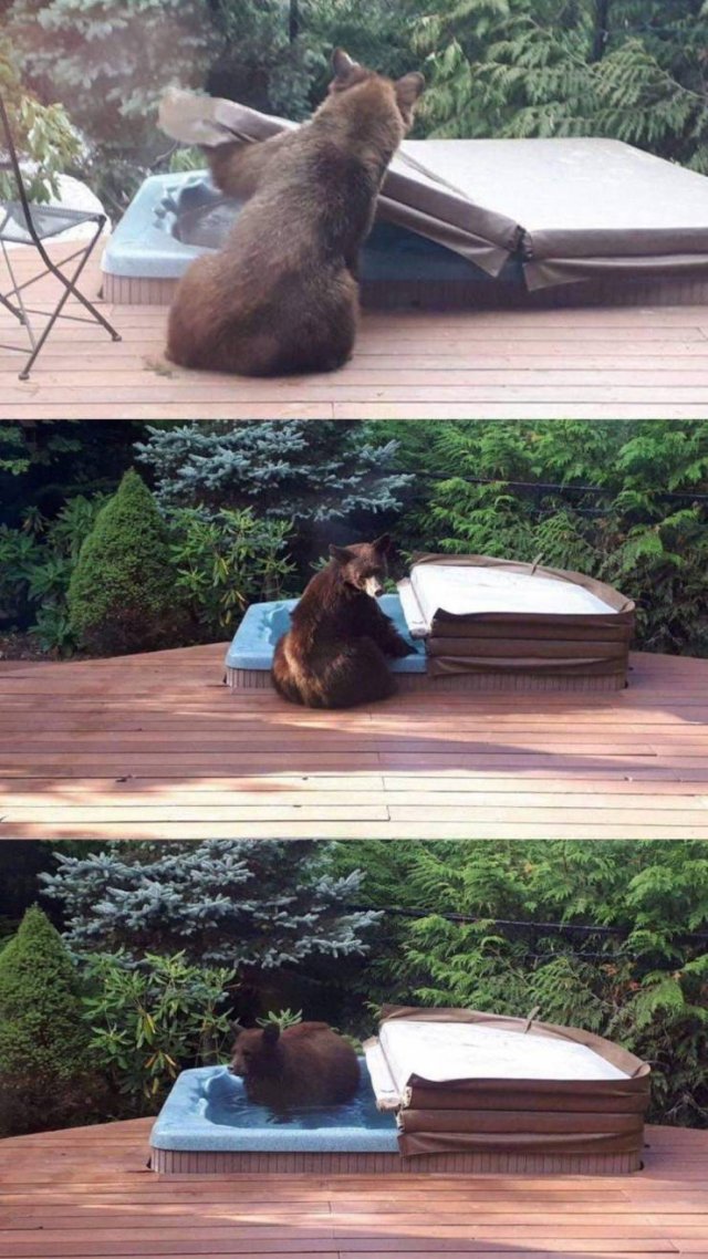 Acid Picdump. Part 2 (94 pics)