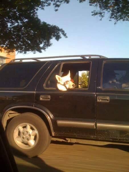 Acid Picdump. Part 2 (94 pics)