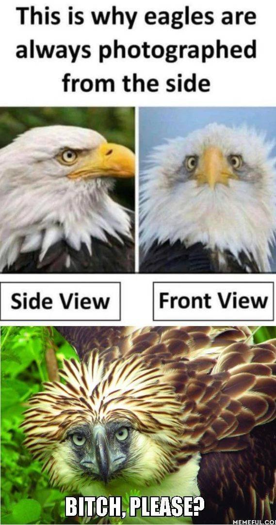 Acid Picdump. Part 2 (94 pics)