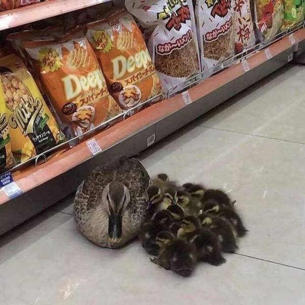 Acid Picdump. Part 2 (94 pics)