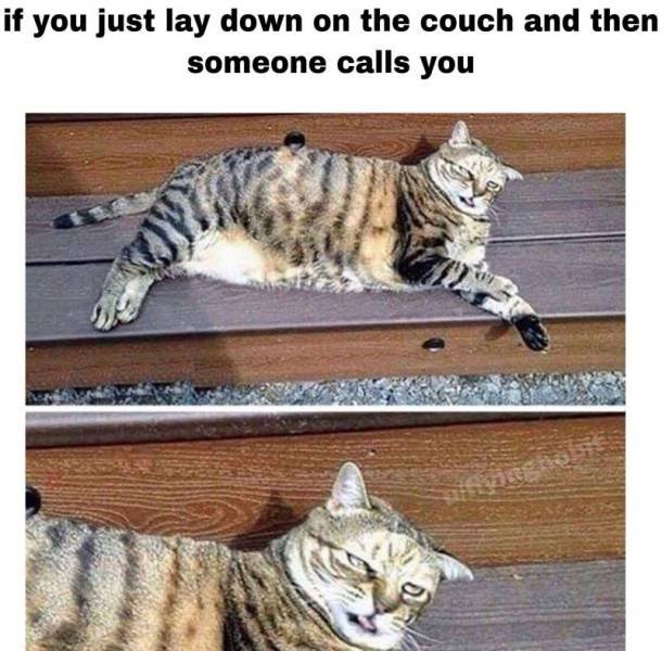 Acid Picdump. Part 2 (94 pics)