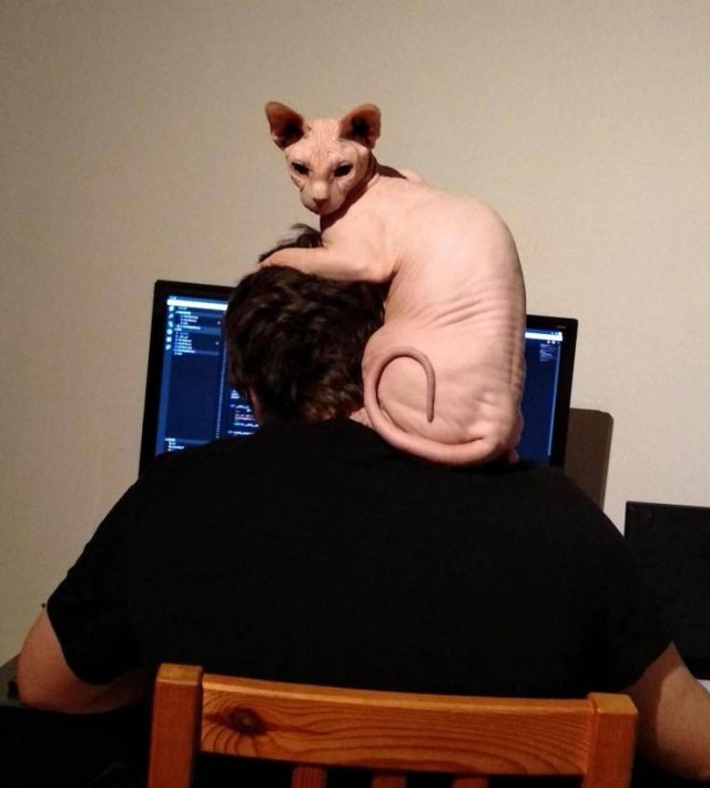 Acid Picdump. Part 2 (94 pics)
