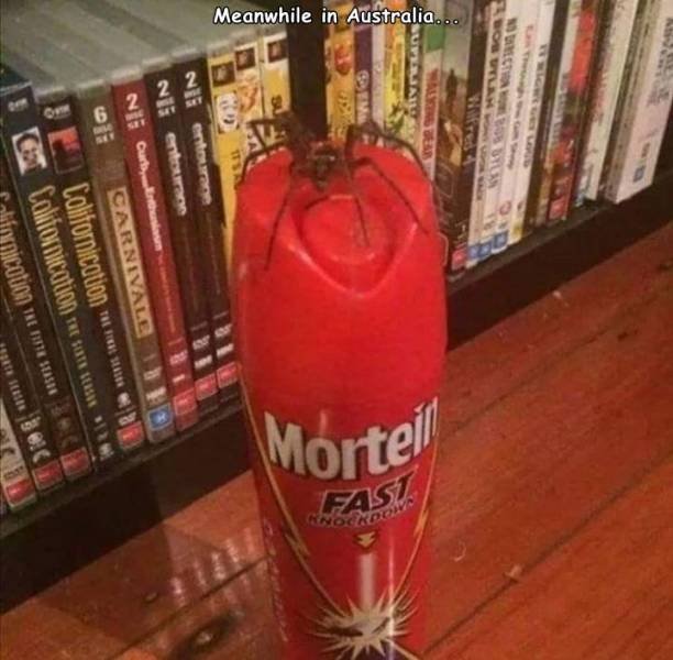 Acid Picdump. Part 2 (94 pics)