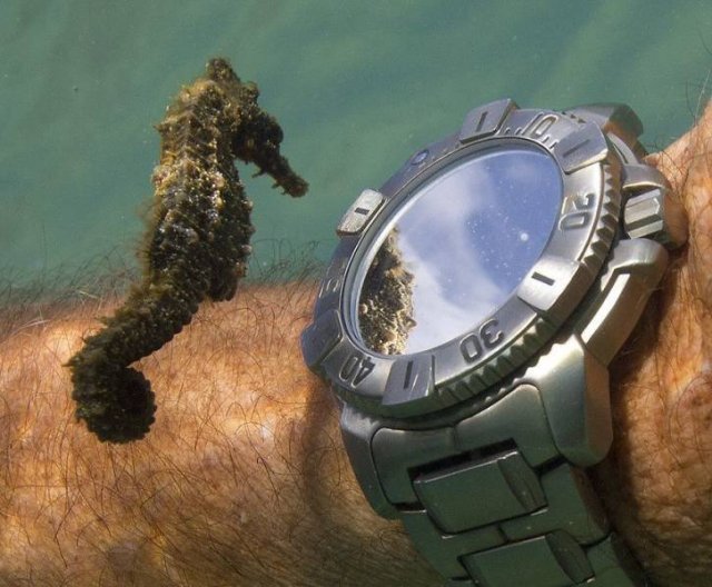 Acid Picdump. Part 2 (94 pics)