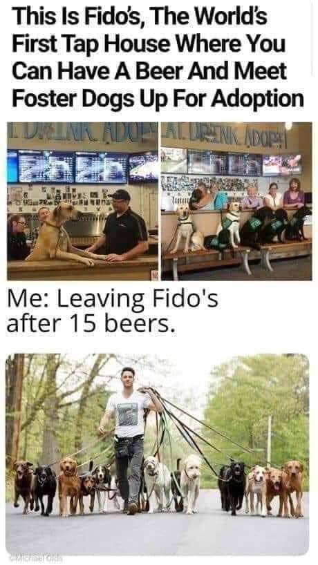 Wholesome Memes (38 pics)