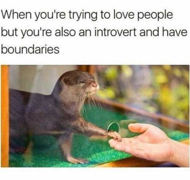 Wholesome Memes (38 pics)
