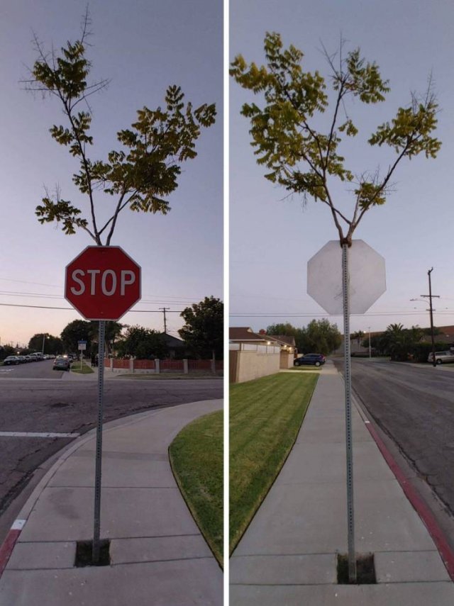 Amazing Pictures (45 pics)