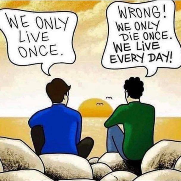 Wholesome Memes (38 pics)