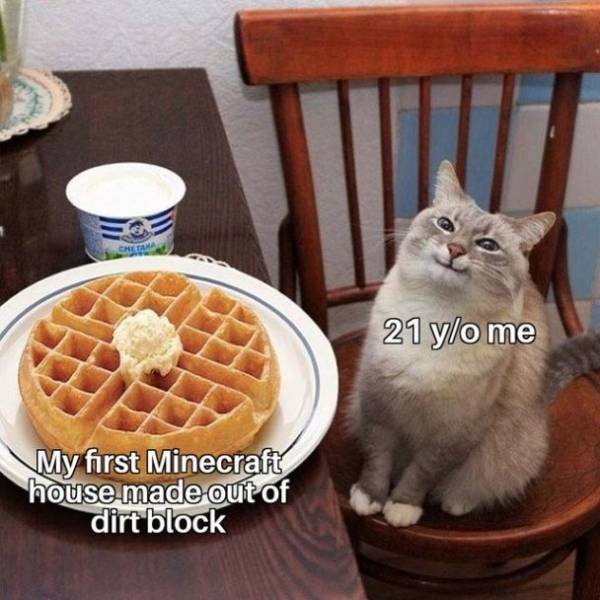 Wholesome Memes (38 pics)