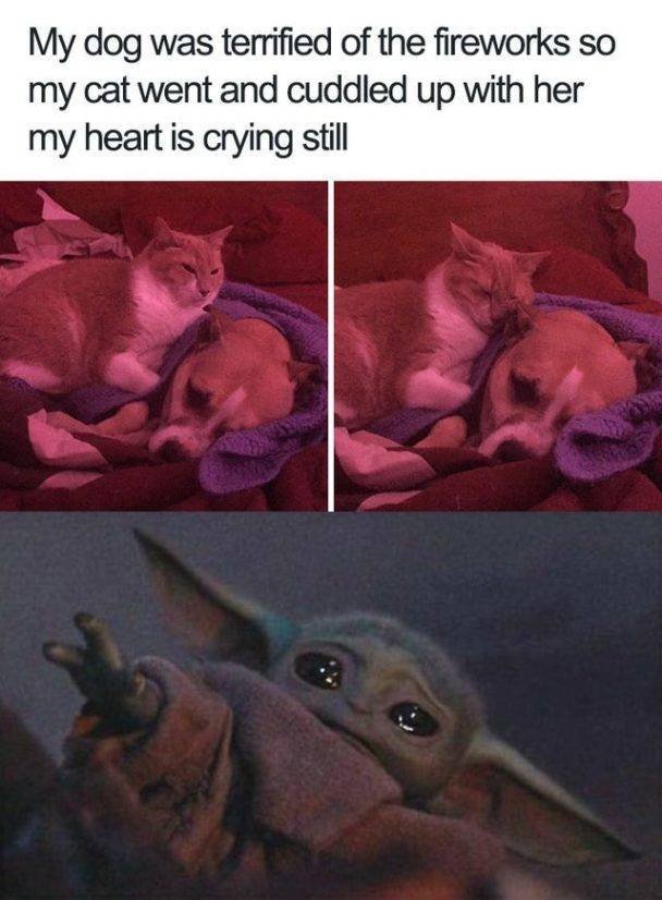 Wholesome Memes (38 pics)