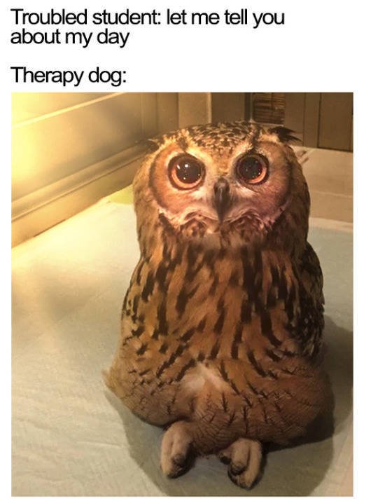 Wholesome Memes (38 pics)