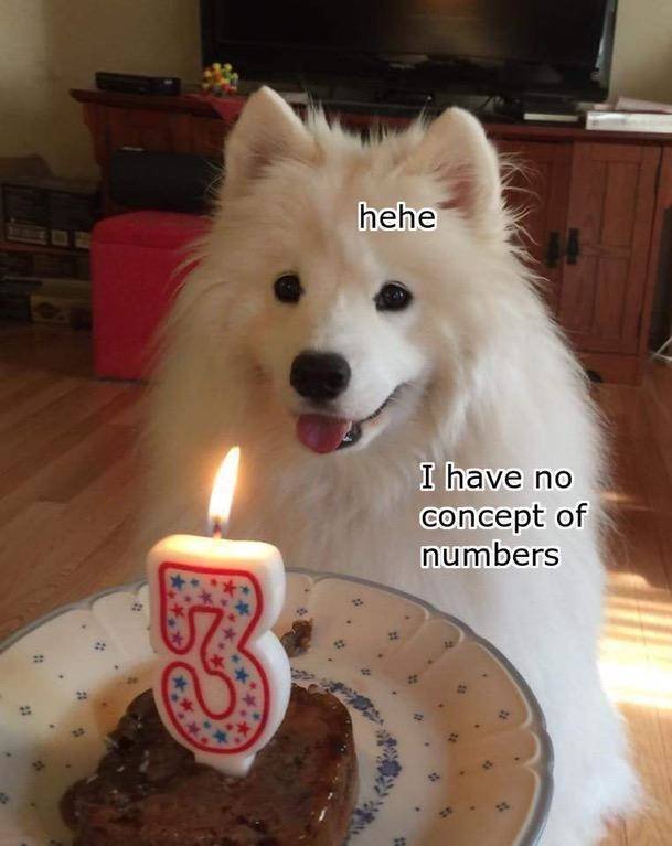 Wholesome Memes (38 pics)