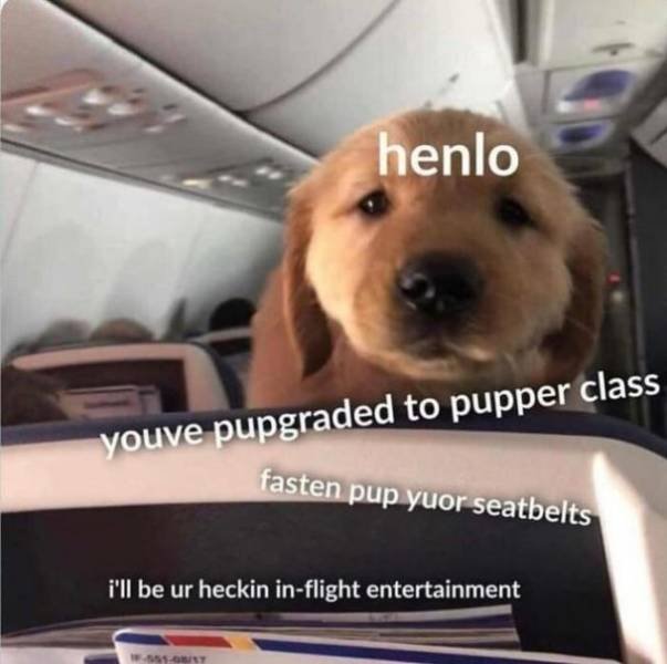 Wholesome Memes (38 pics)