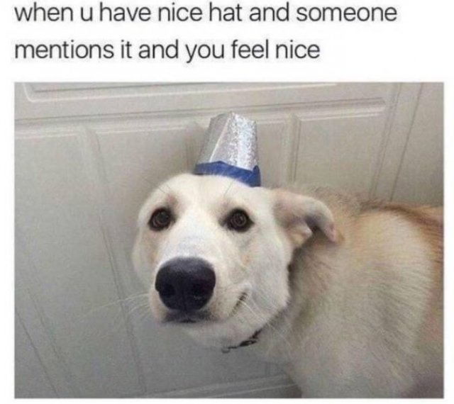 Wholesome Memes (38 pics)