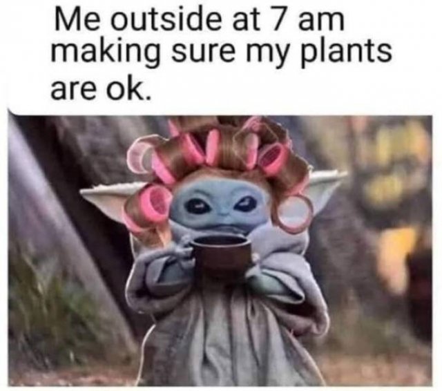 Wholesome Memes (38 pics)