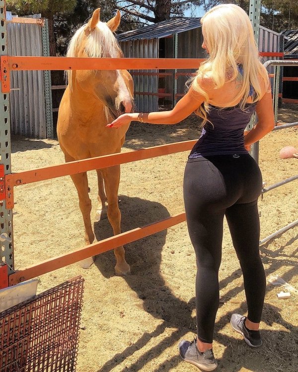 Girls In Yoga Pants (61 pics)