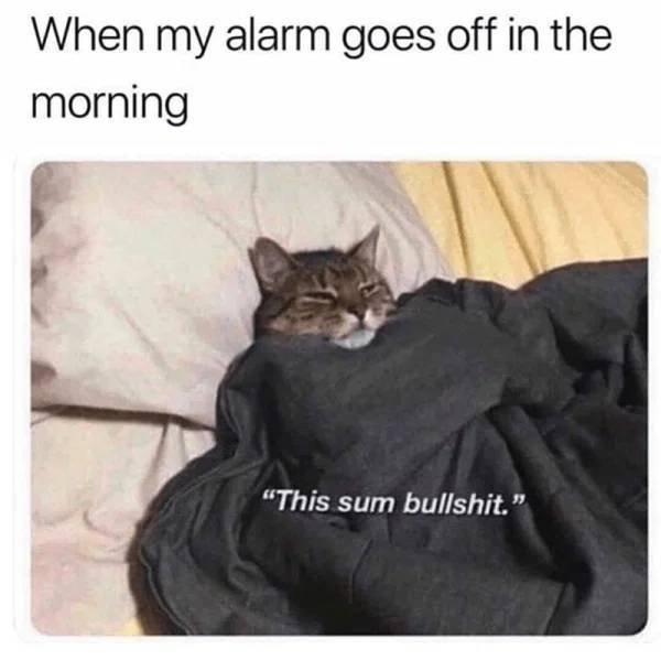 Memes And Pictures About Work (45 pics)