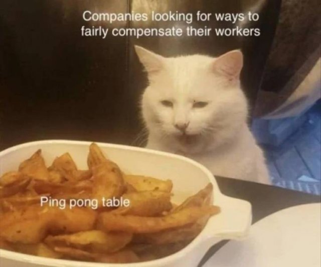 Memes And Pictures About Work (45 pics)