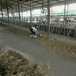 Memes And Pictures About Work (45 pics)