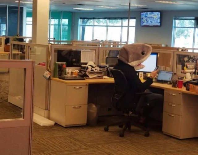 Memes And Pictures About Work (45 pics)