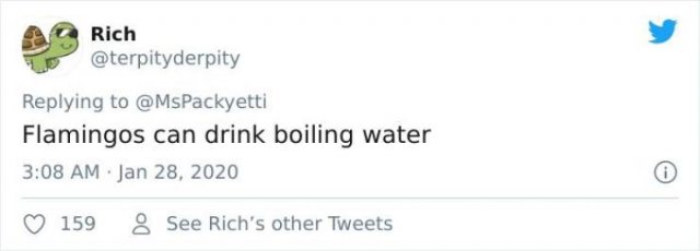 Facts You Can Learn From Twitter (29 pics)