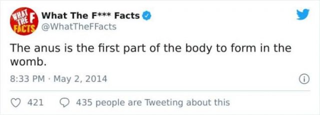 Facts You Can Learn From Twitter (29 pics)
