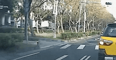 Wins And Fails (15 gifs)