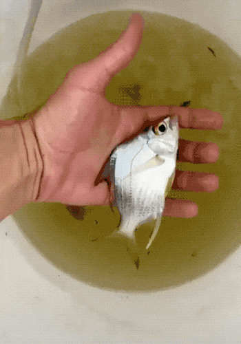 Wins And Fails (15 gifs)