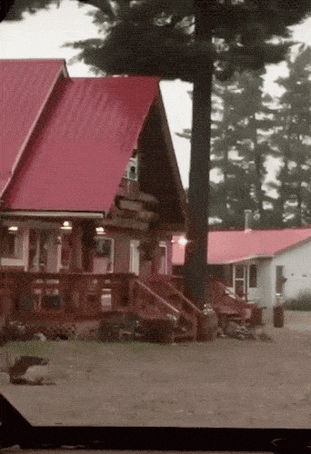 Wins And Fails (15 gifs)