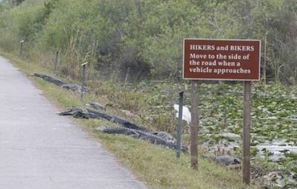 Almost Nailed It (40 pics)