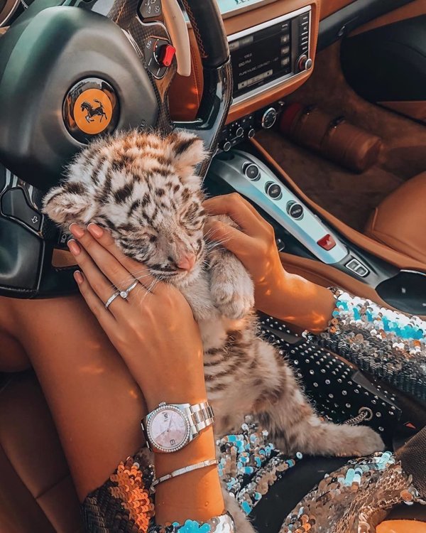 Rich Instagram Kids (37 pics)