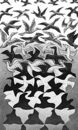 M.C. Escher GIFs (22 gifs)