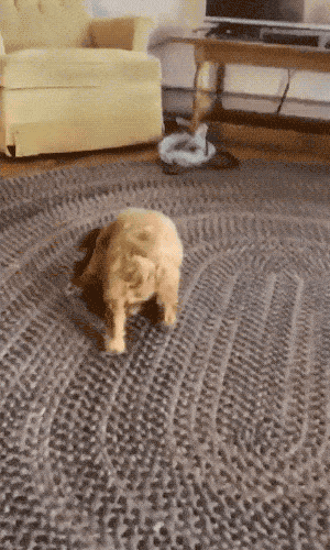 Wins And Fails (15 gifs)