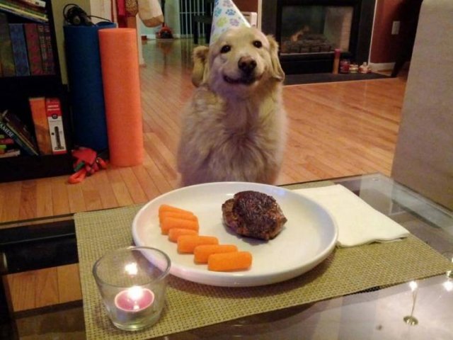 Acid Picdump. Part 2 (94 pics)