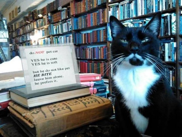 Acid Picdump. Part 1 (96 pics)