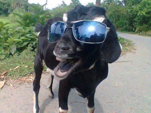 Acid Picdump. Part 2 (94 pics)