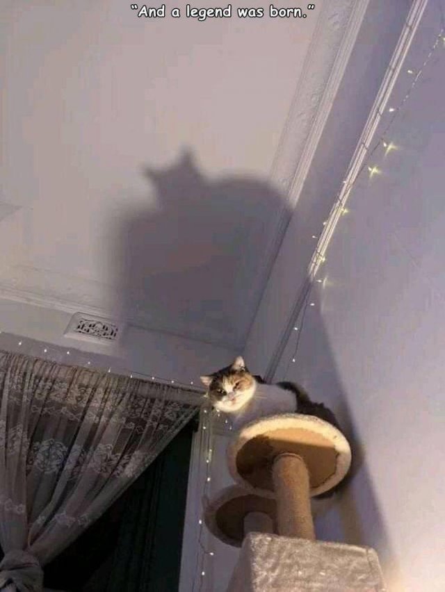 Acid Picdump. Part 1 (96 pics)