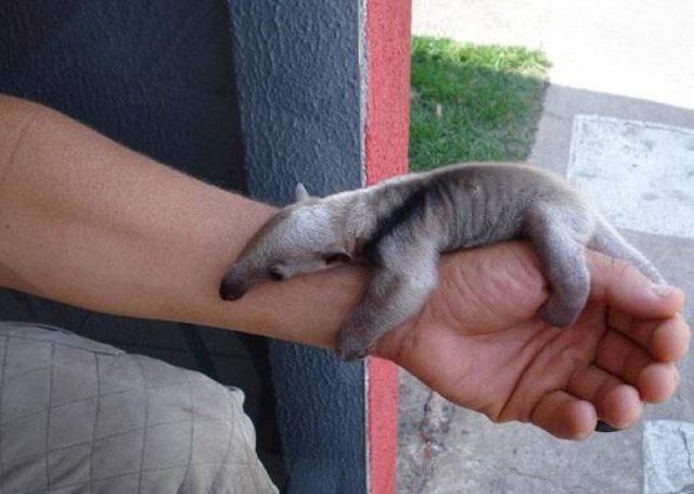 Acid Picdump. Part 2 (94 pics)