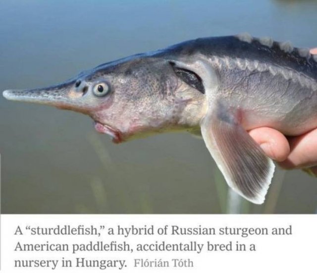 Acid Picdump. Part 2 (94 pics)