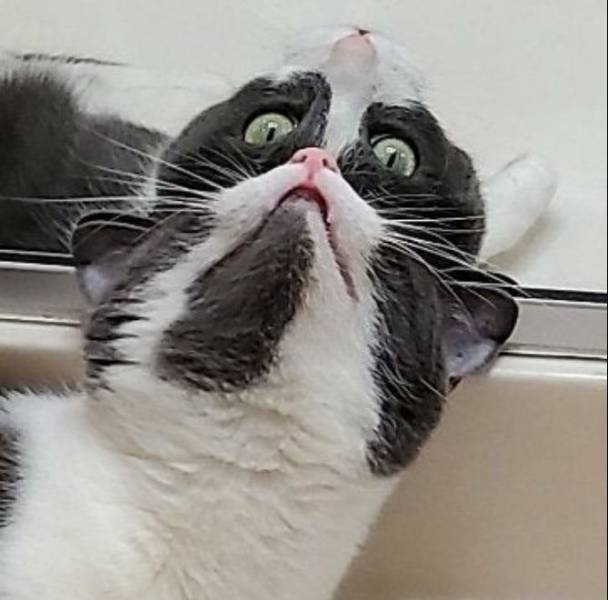 Acid Picdump. Part 2 (94 pics)