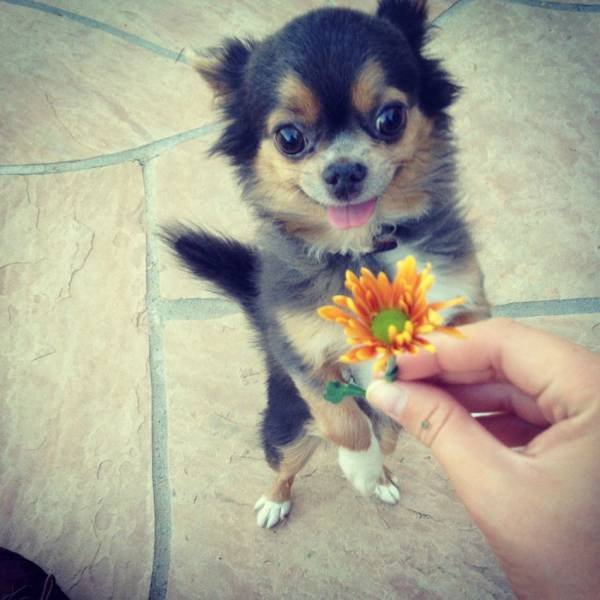 Acid Picdump. Part 2 (94 pics)