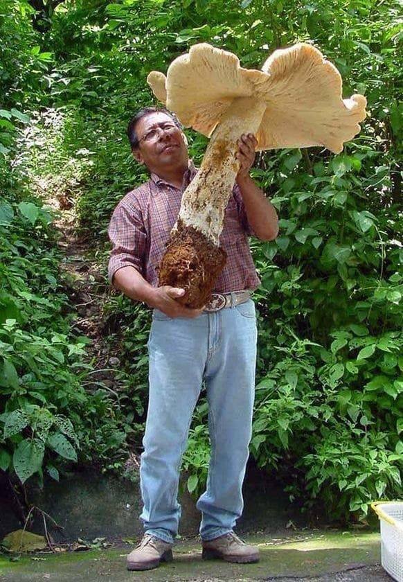Acid Picdump. Part 2 (94 pics)