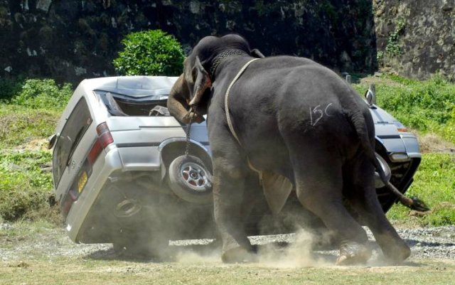 Acid Picdump. Part 2 (94 pics)