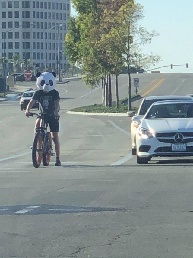 Acid Picdump. Part 2 (94 pics)