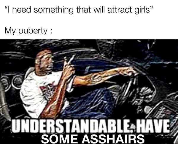 Random Funny Memes (29 pics)