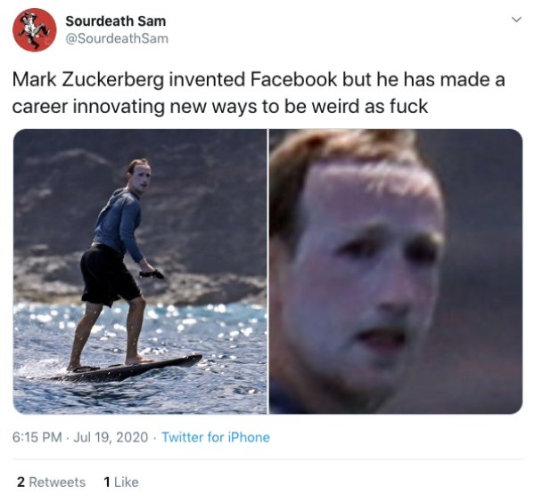 Mark Zuckerberg Surfing Face (24 pics)