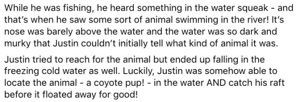 Canadian Kayaker And His Rescued Friend Coyote Pup (8 pics)